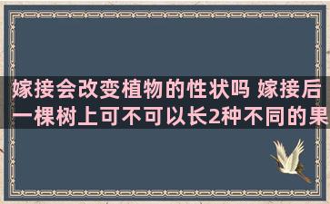 嫁接会改变植物的性状吗 嫁接后一棵树上可不可以长2种不同的果实